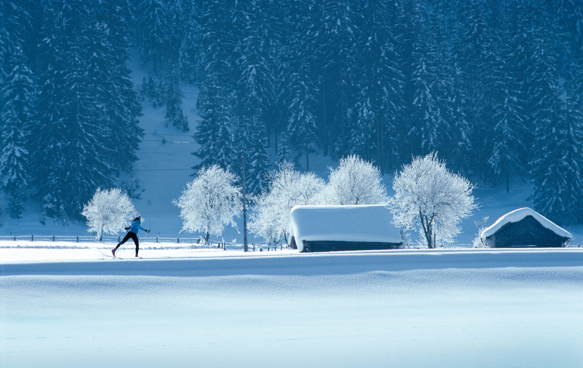 Nordic skiing around hotel restaurant Le Tillau, Pontarlier, Vallorbe